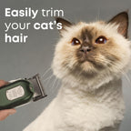 Freshly Bailey low noise grooming trimmer showing digital LED battery display