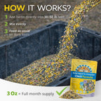 Baby chicks eating feed mixed with Buff Clucks herbal supplement