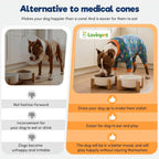 LovinPet dinosaur land blue print dog anxiety relief shirt close up