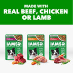 Back label of IAMS Adult Wet Dog Food variety pack showing complete ingredient list and guaranteed analysis.