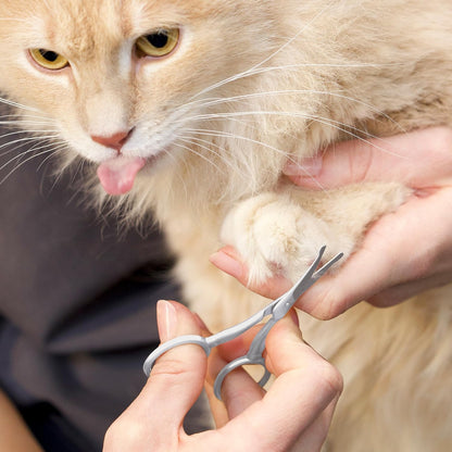 Rounded tip pet grooming shears demonstrating safety features around paws.