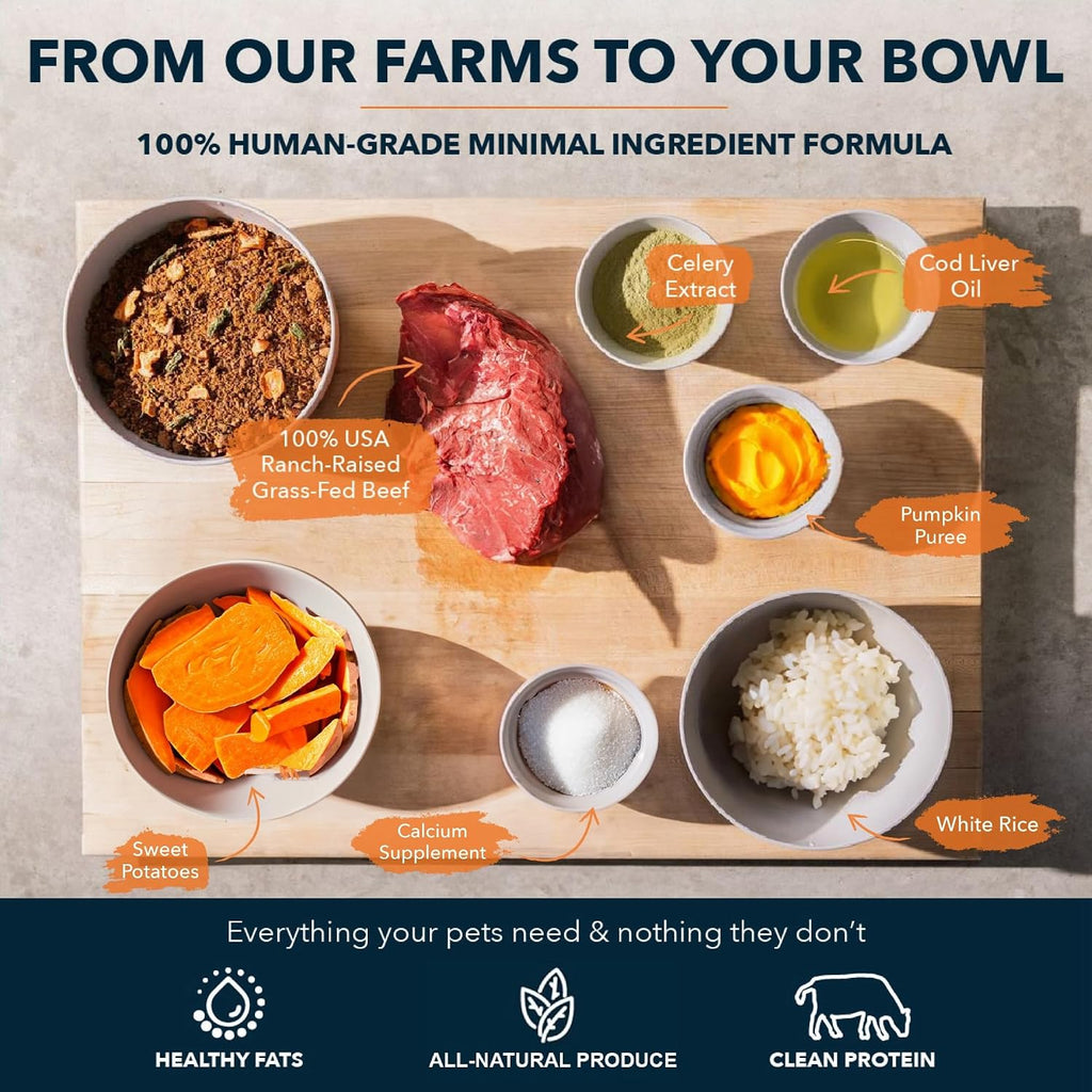 Nutritious grass fed beef dog food for sensitive stomachs