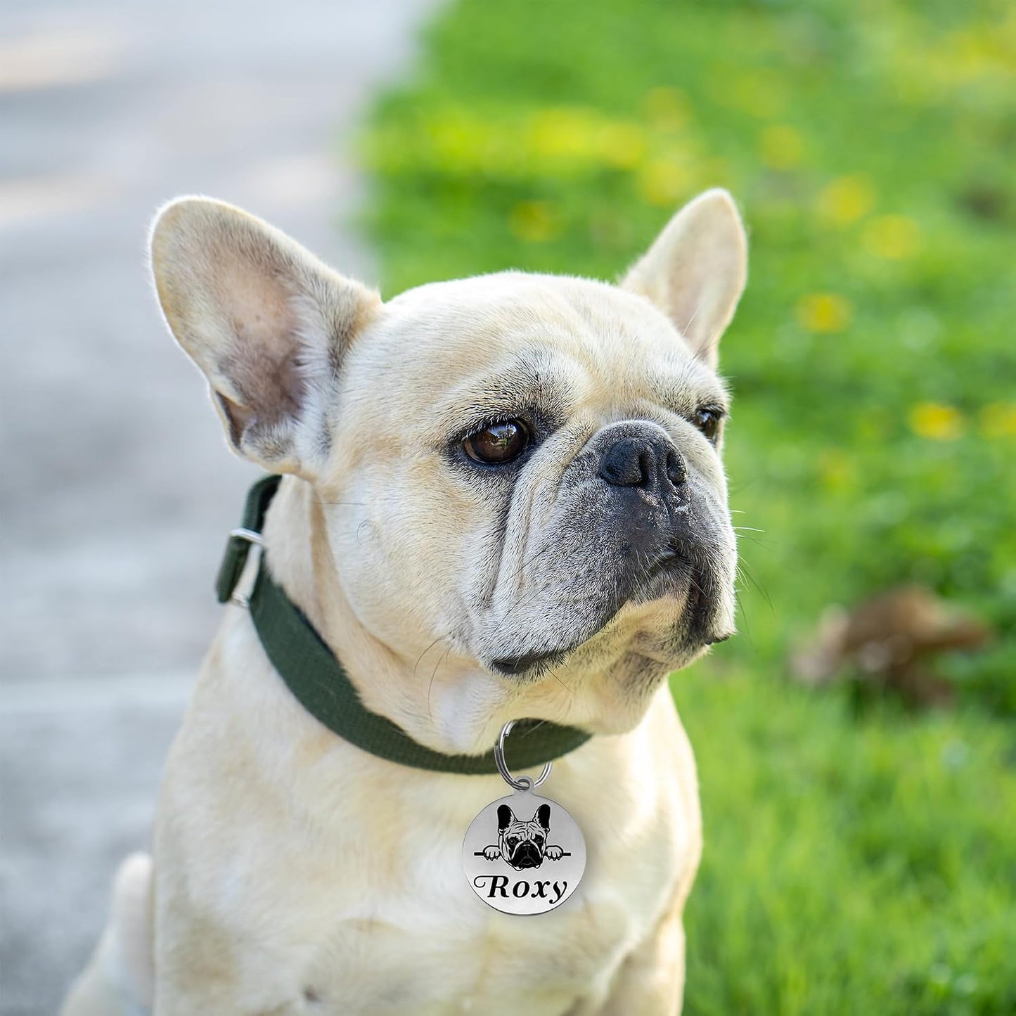 Double-sided engraved dog identification tag with phone number text layout.