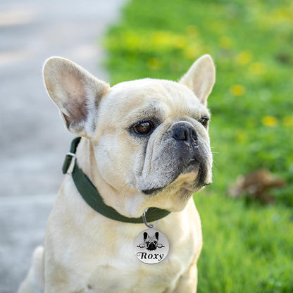 Double-sided engraved dog identification tag with phone number text layout.
