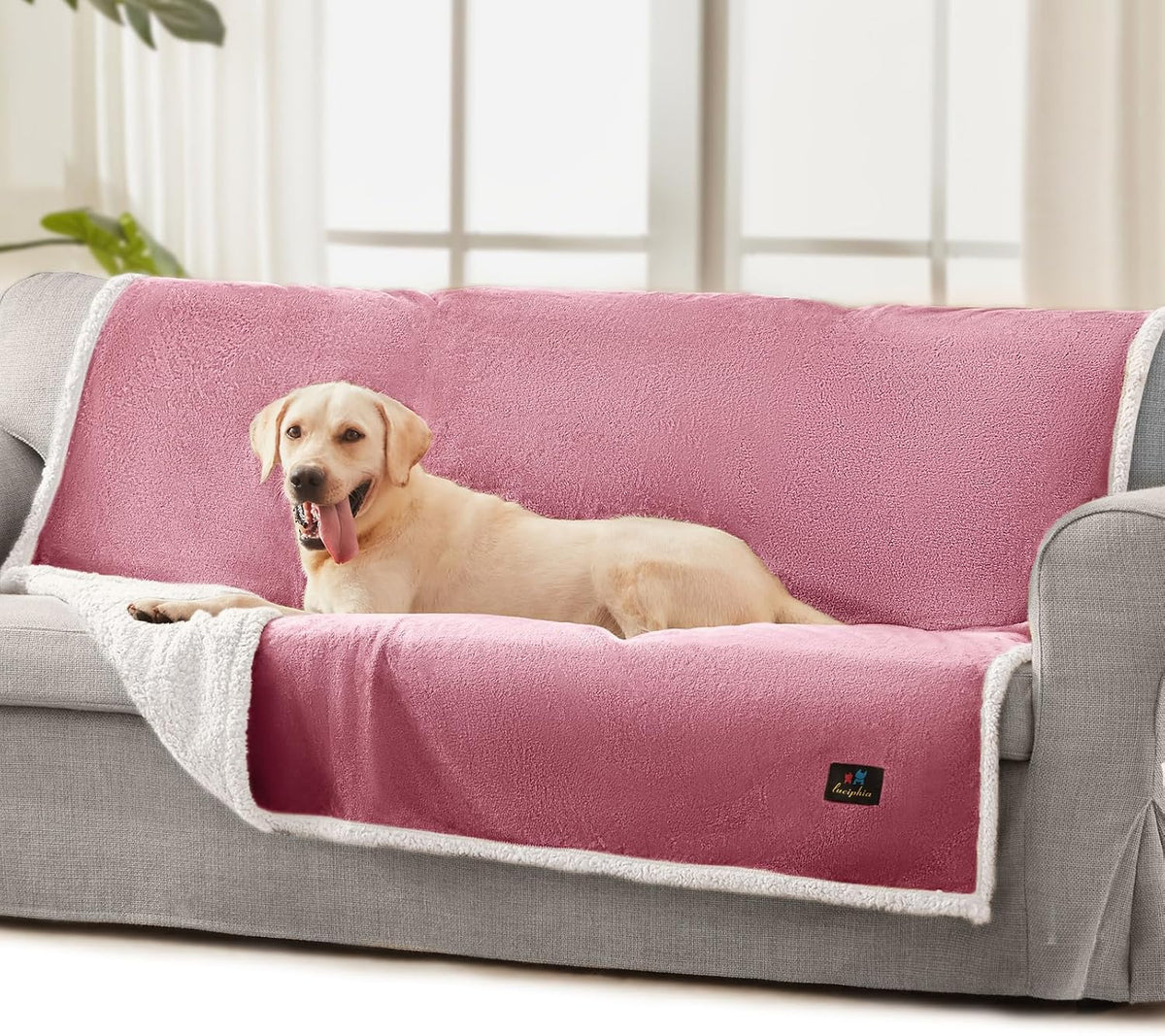 Luciphia Waterproof Blanket for Dog Washable Reversible Sherpa Fleece Throw Blanket for Bed Couch Soft Liquid Pee Proof Furniture Cover Protector for Small Medium Large Pet Cat Grey 35" x 25" - Image 12