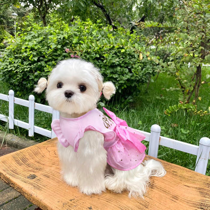 Packaging presentation of the authentic USA imported Otunrues pet birthday outfit.