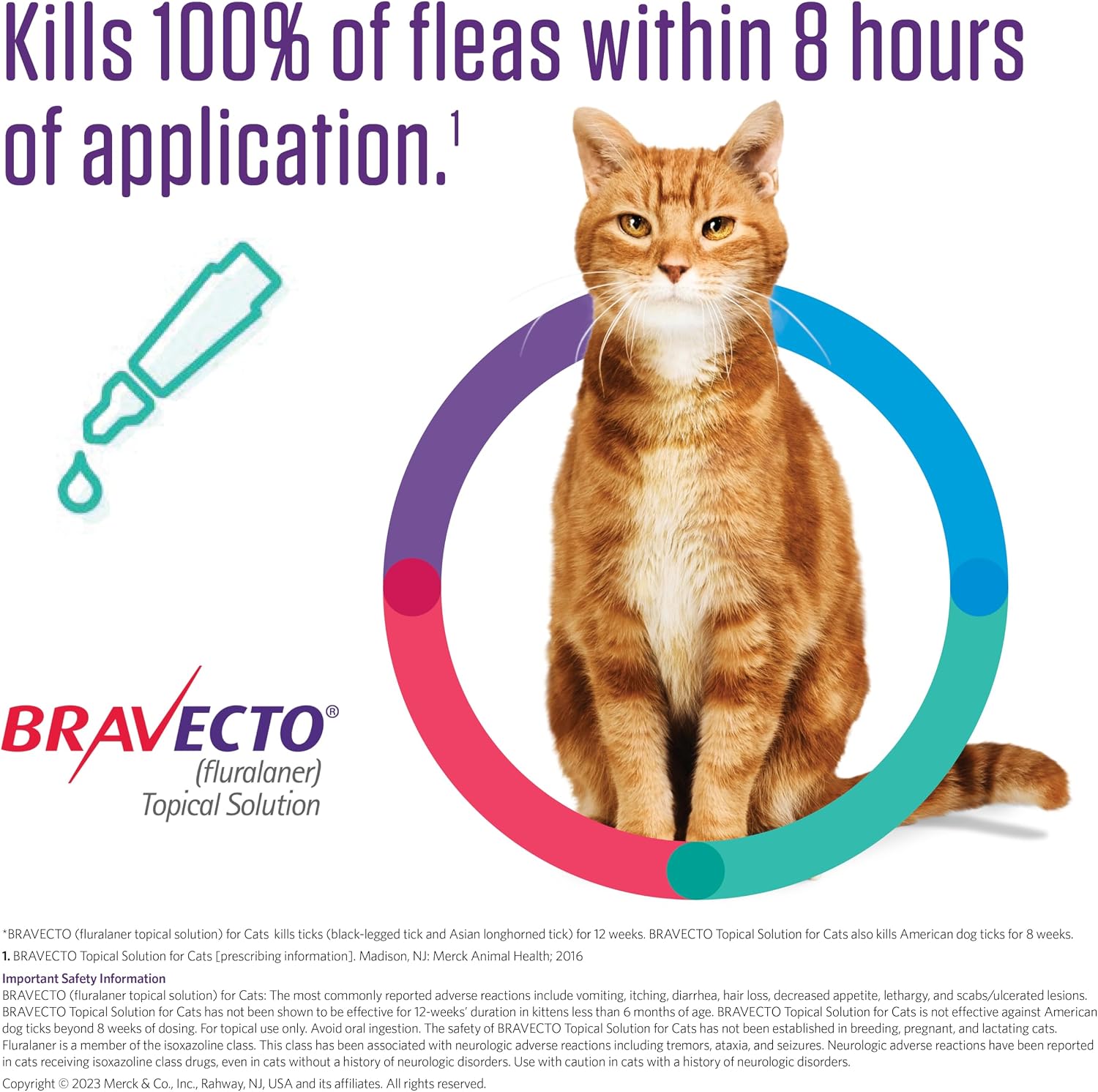 Bravecto 12 week flea and tick protection blue box