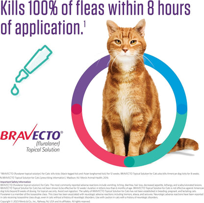 Bravecto 12 week flea and tick protection blue box