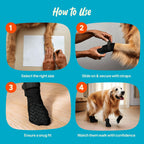 Dog walking confidently on hardwood floor wearing Steady Paws socks