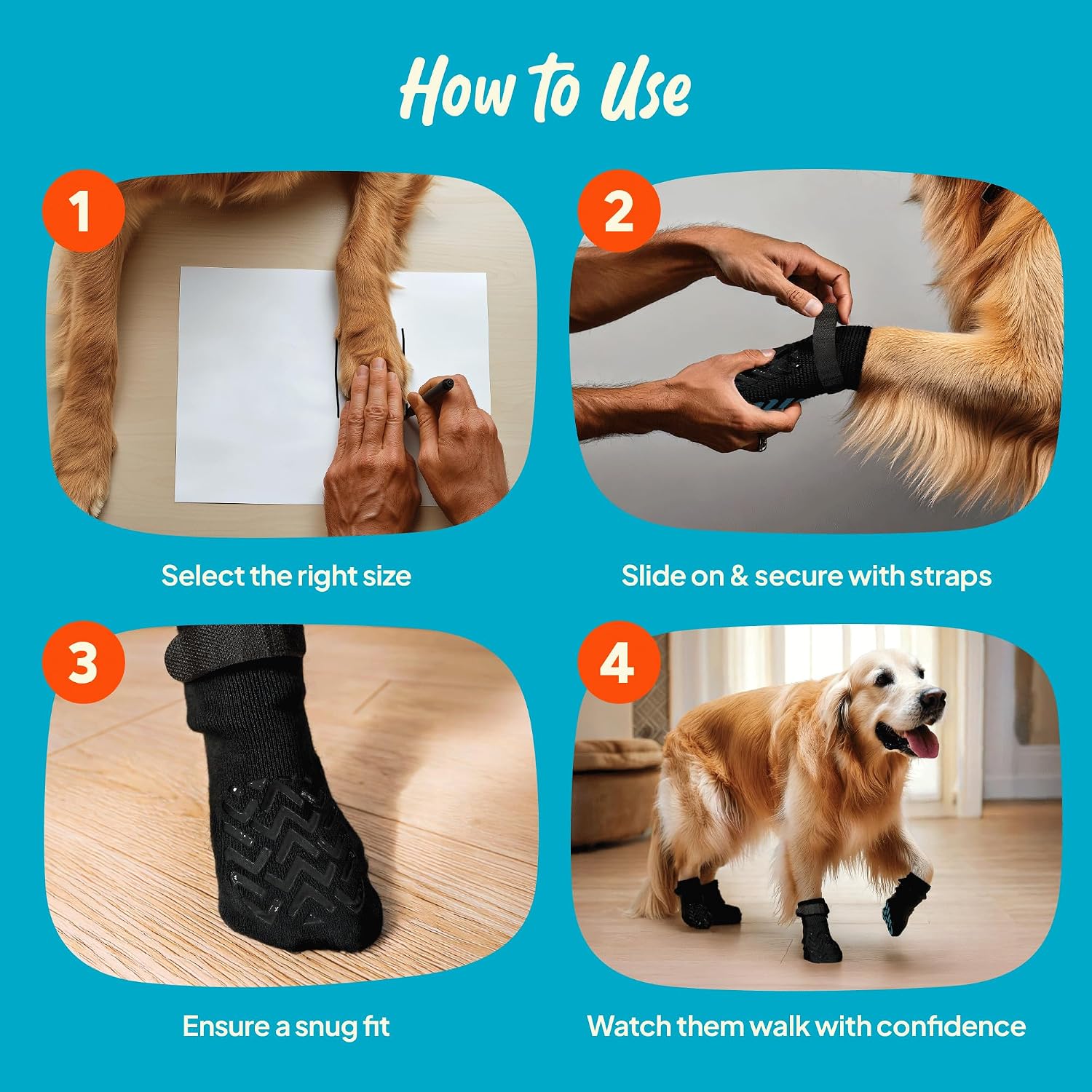 Dog walking confidently on hardwood floor wearing Steady Paws socks