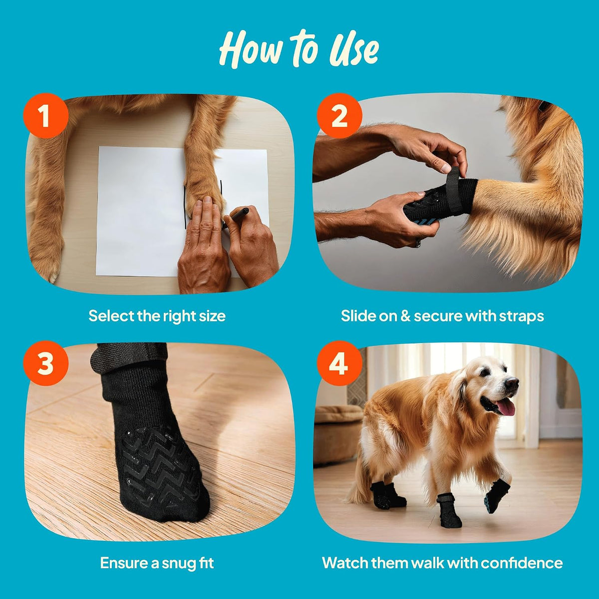 Dog walking confidently on hardwood floor wearing Steady Paws socks
