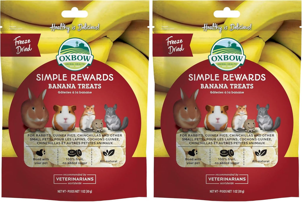 Oxbow Simple Rewards Apple Banana Treats, Timothy Hay Guinea Pig & Bunny Treats, Pet Snack, Made with Oxbow Guinea Pig Hay, Made in USA, Timothy for Rabbit, 3 oz Bag - Image 12