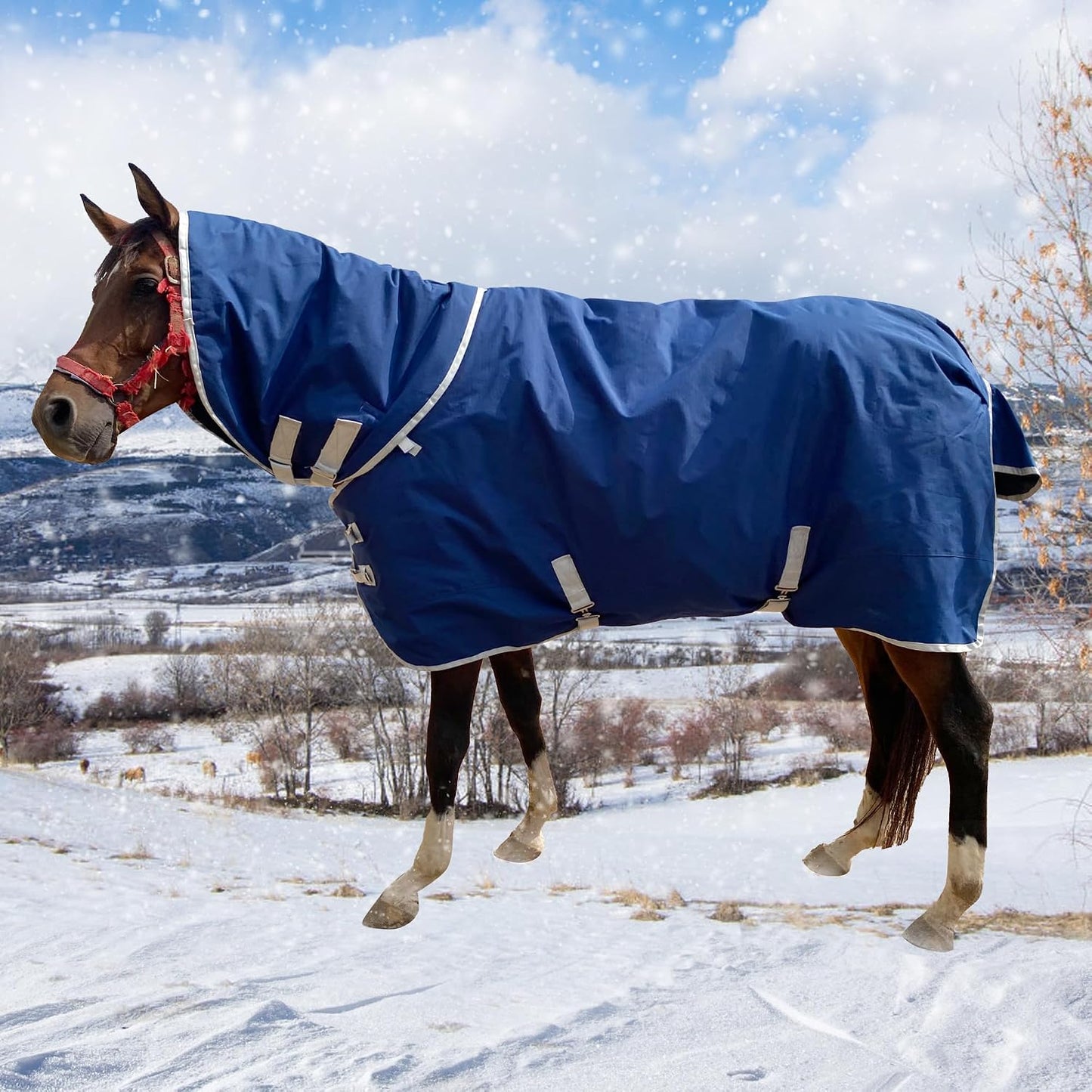 Surcingle Turnout Blankets for Horse,1680D Winter Horse Blanket, 300g / 14oz Warm Filling Liner, Medium Weight Waterproof, Red Horse Blanket for Real Horses,Warm US78 in(EU 145 cm) - Image 10