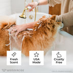 Natural cedarwood and peppermint flea shampoo for dogs