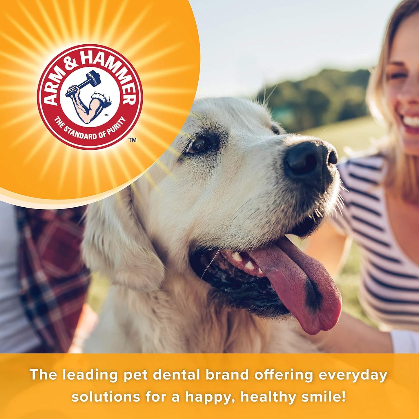 Lifestyle shot of dog dental care kit with Arm And Hammer spray