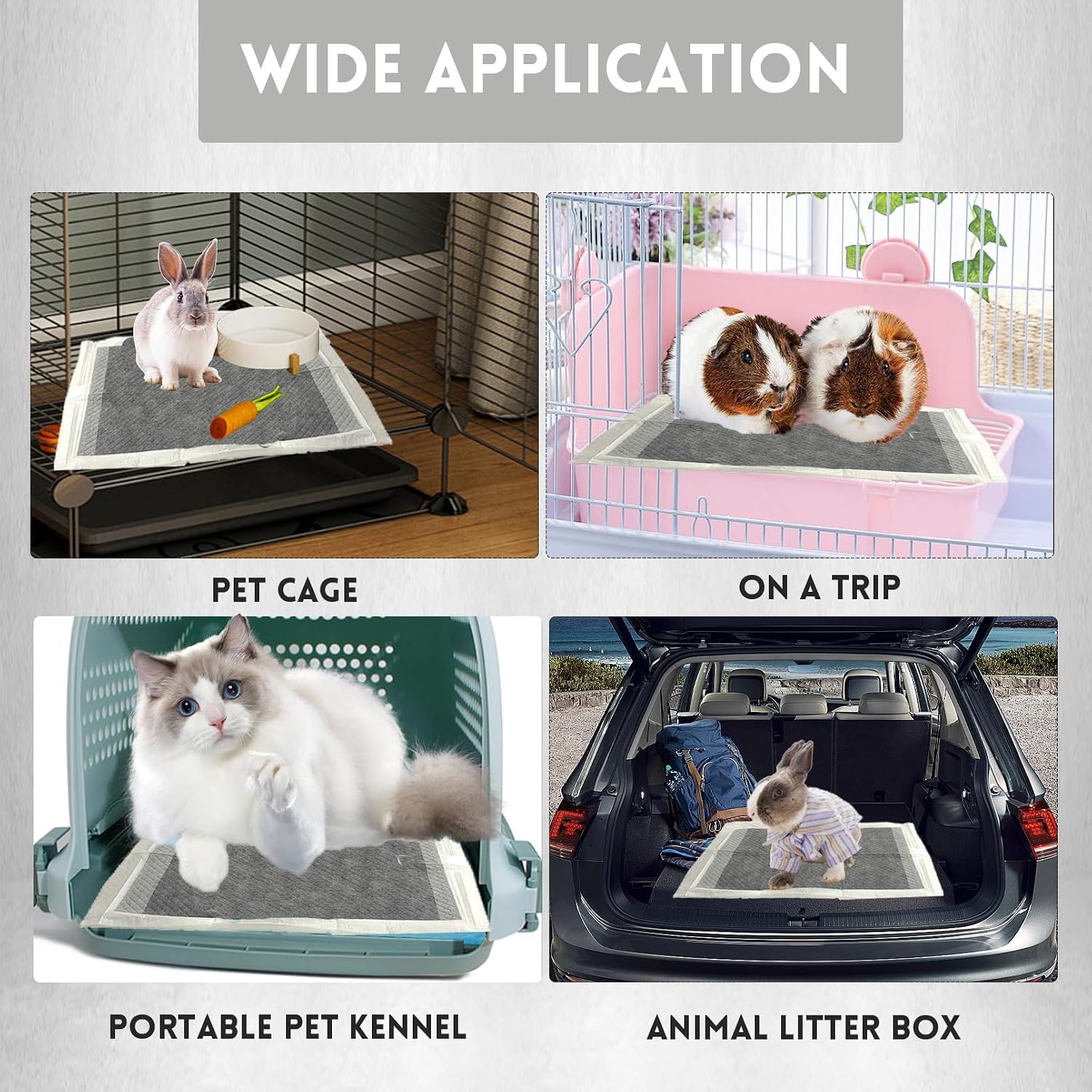 Small animal using a clean Kathson training pad