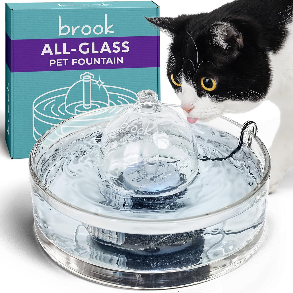 Brook All Glass Pet Fountain front view in a modern home