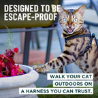 OutdoorBengal black medium cat harness with leash set attached