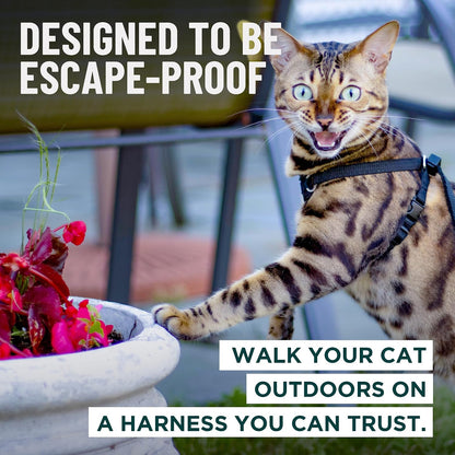 OutdoorBengal black medium cat harness with leash set attached