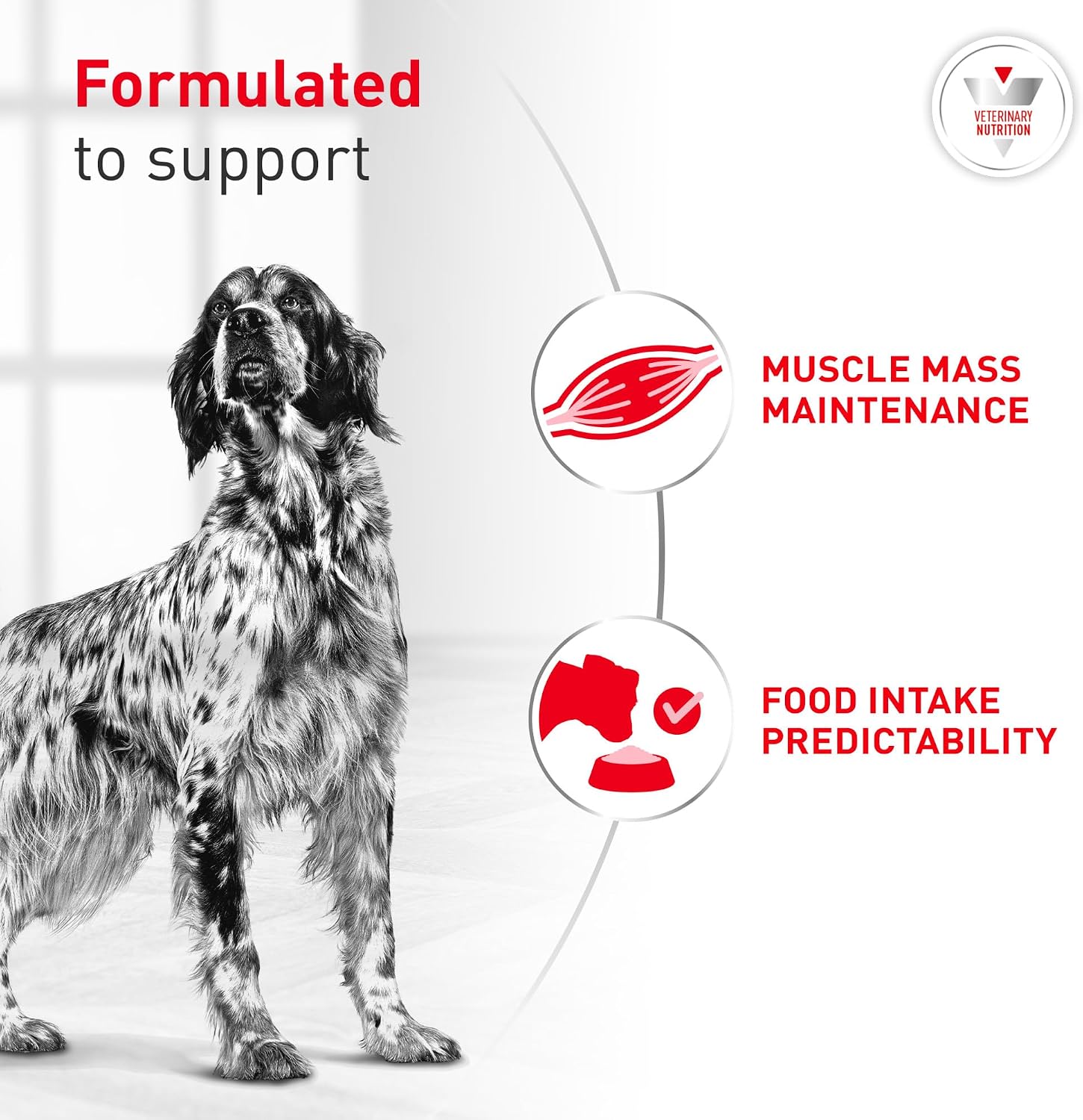 Close up of Royal Canin Veterinary Diet Glycobalance loaf in sauce can top and packaging details