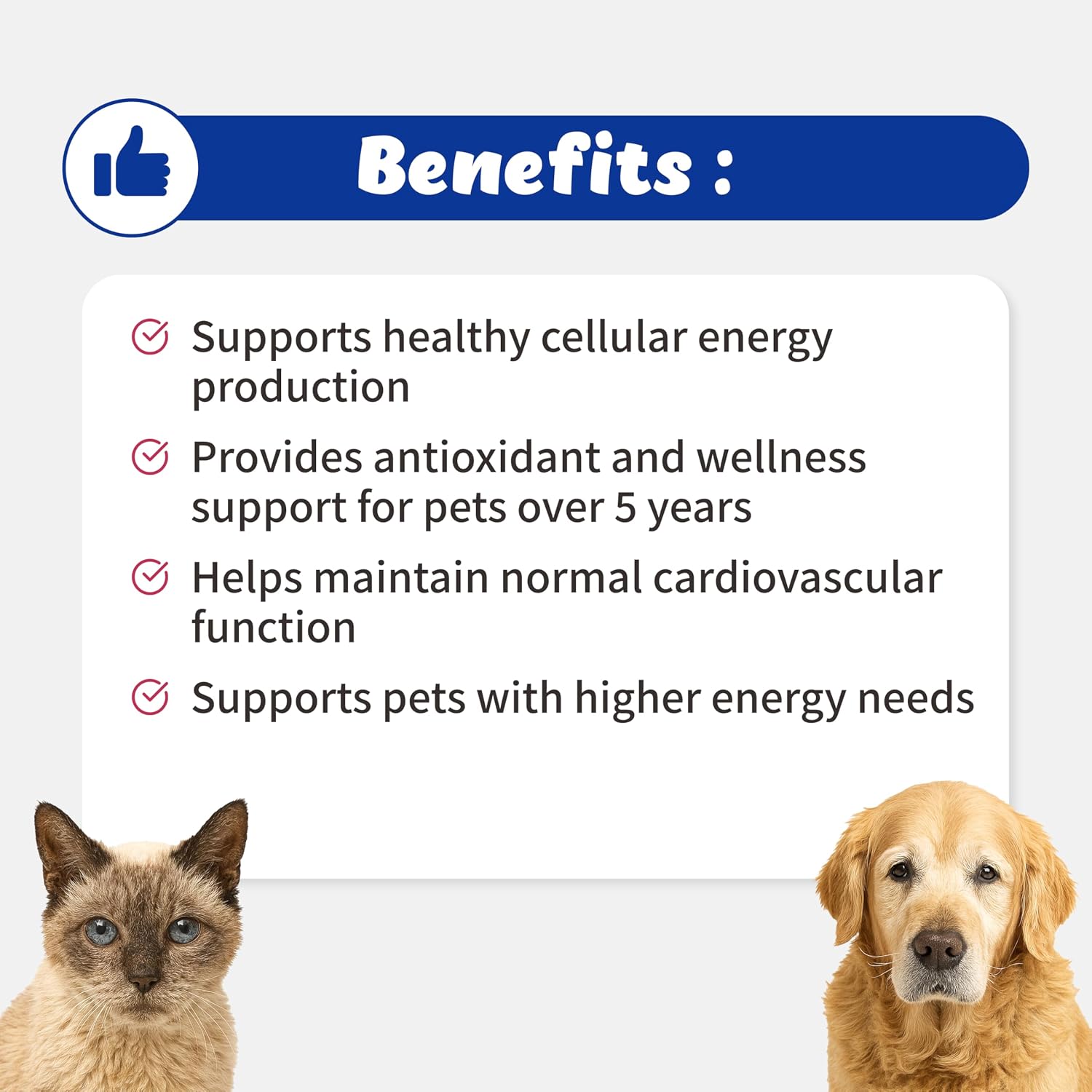 Branvine ATP CellVet powder container for cats and dogs