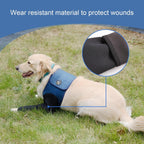 Coodeo abrasion resistant dog sleeve fitted on the left front leg of an active dog
