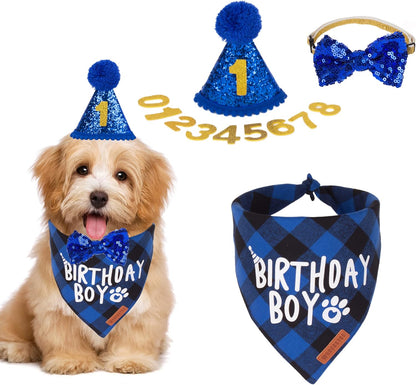 ADOGGYGO blue boy dog birthday set being worn by a large pet for photos.