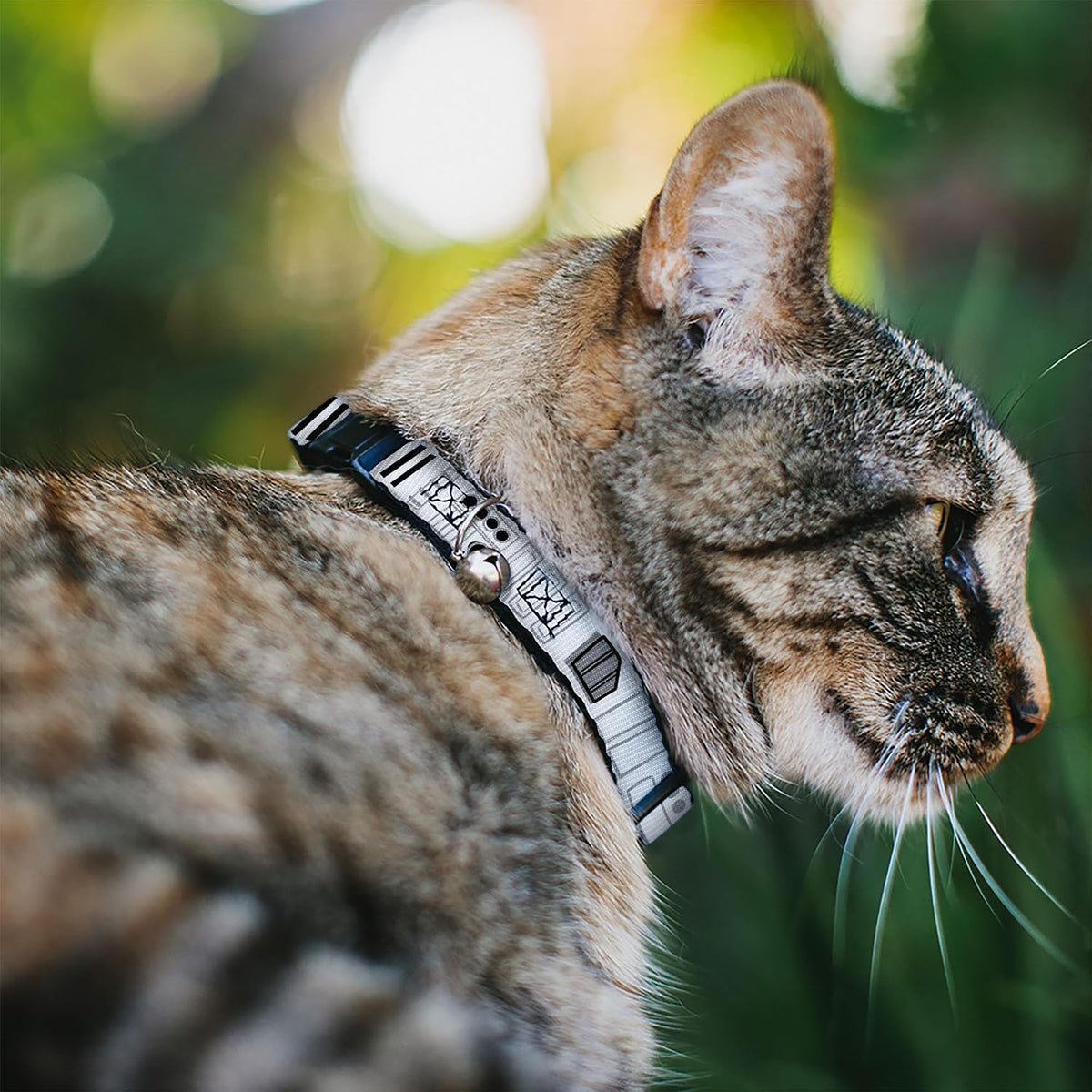 Close-up of the Star Wars cat collar showing the plastic breakaway safety buckle