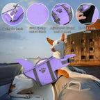 Dogcheer shark fin life vest showing adjustable belly straps