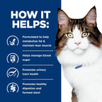 Hill's veterinary diet cat food feeding guide illustration