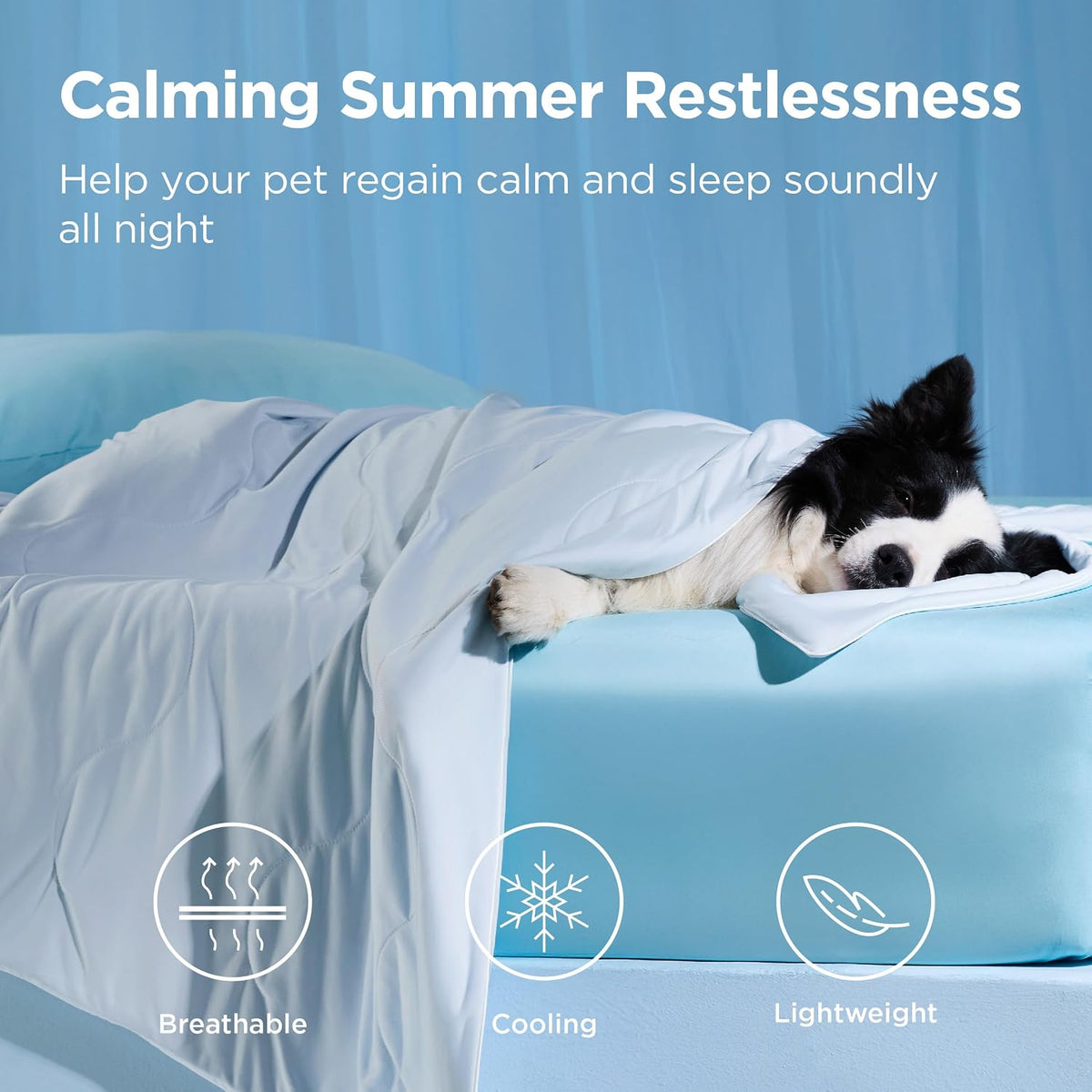 Bedsure self cooling pet blanket protecting a living room sofa fabric from pet fur