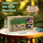 Riare terrarium moss package label details
