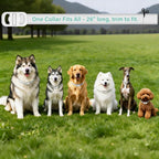 Natural plant-based dog collar for flea and tick prevention