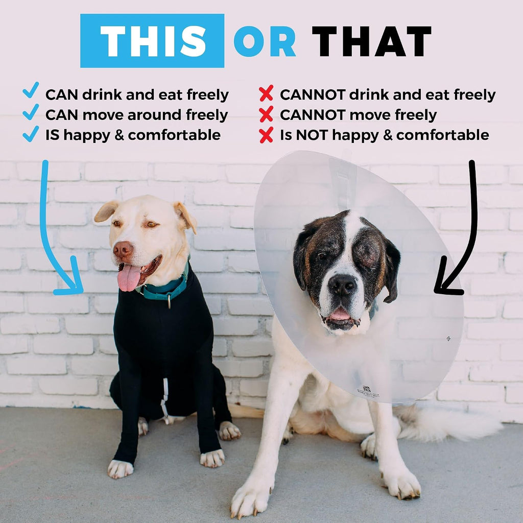 Shed Defender veterinary approved dog cone alternative bodysuit.