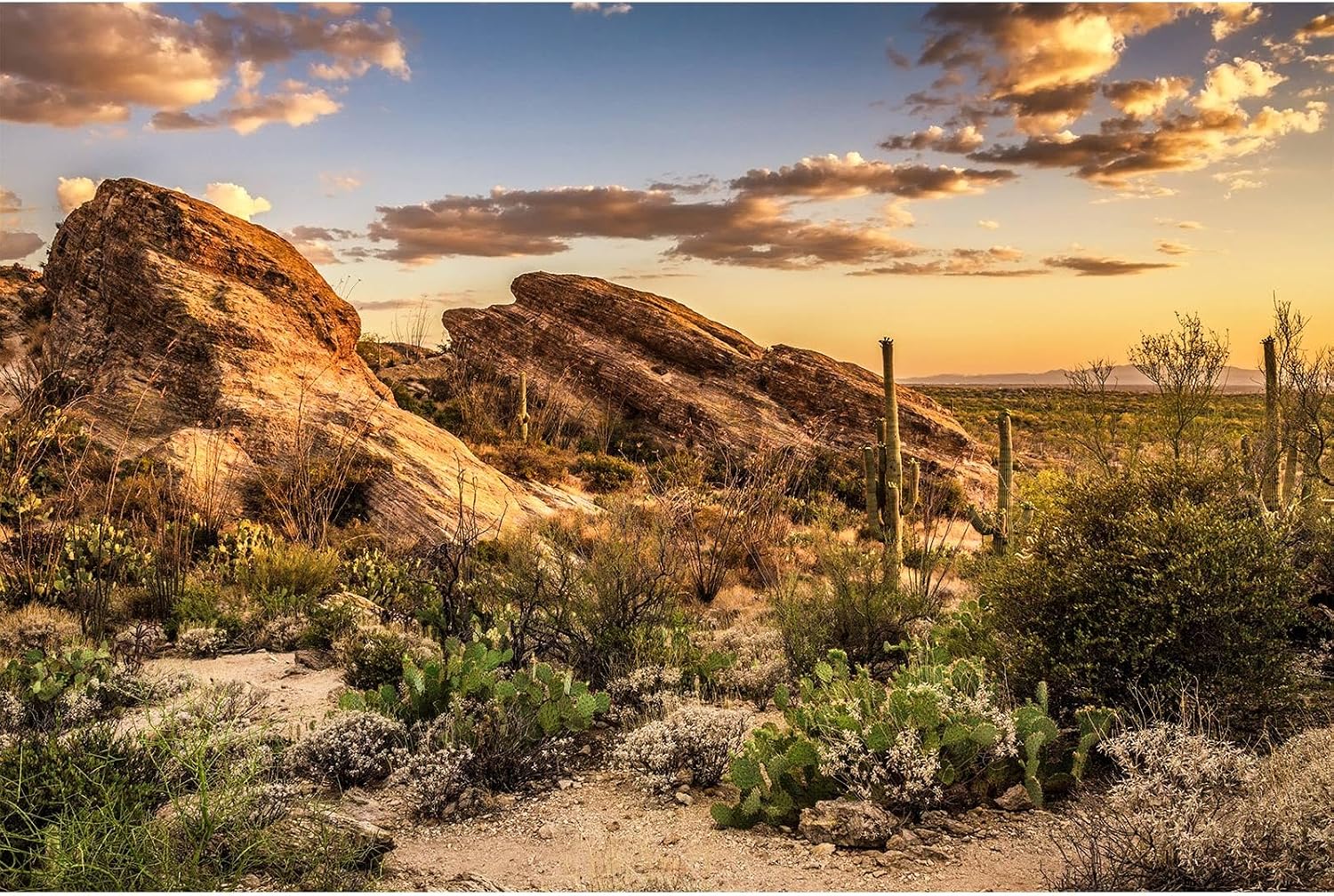 Reptile habitat background illustrating crease removal method with a flat layout view.
