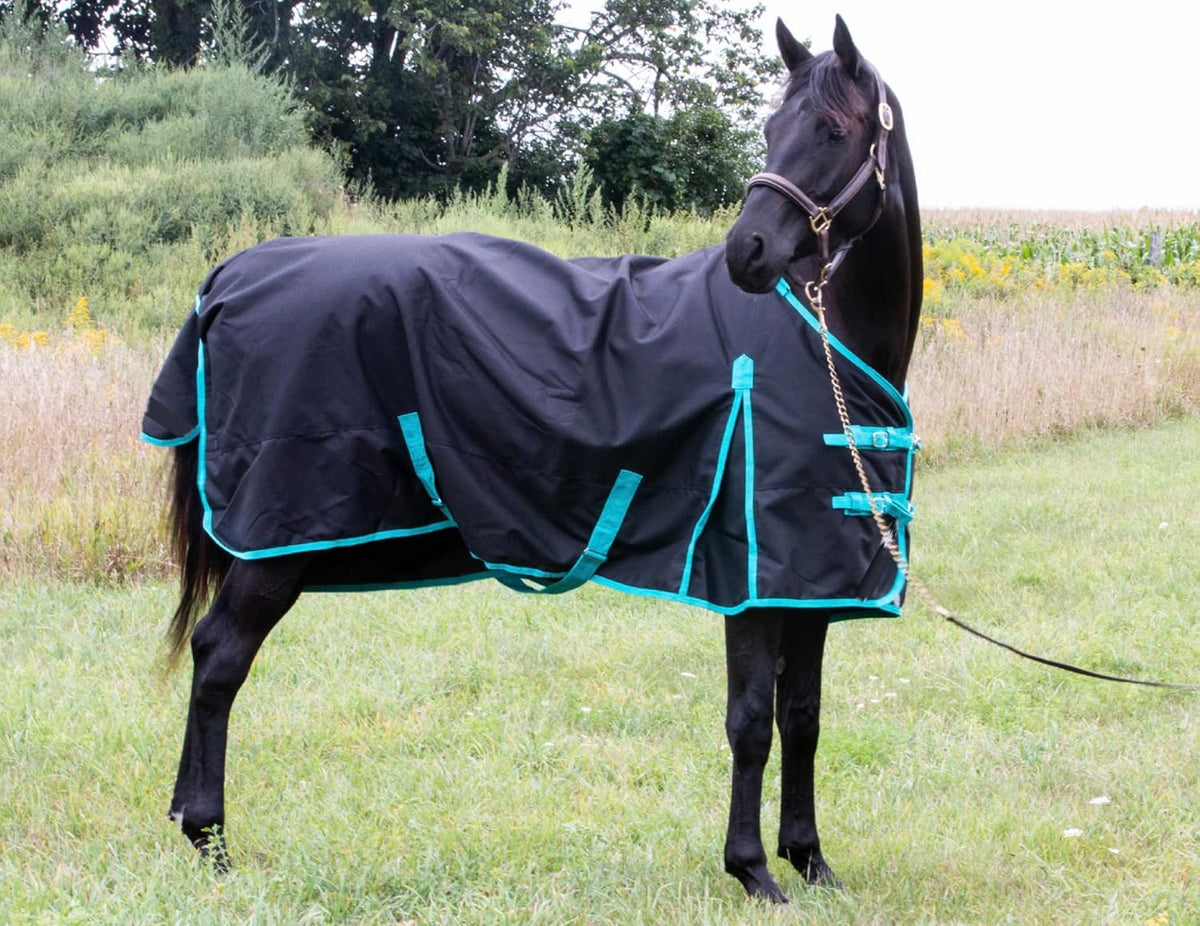 Tech Equestrian waterproof turnout sheet side view highlighting the double cross surcingles and high shoulder gusset