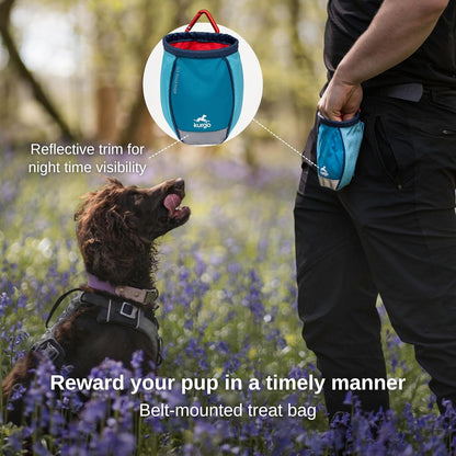 Hands free dog training pouch attached to a belt waist