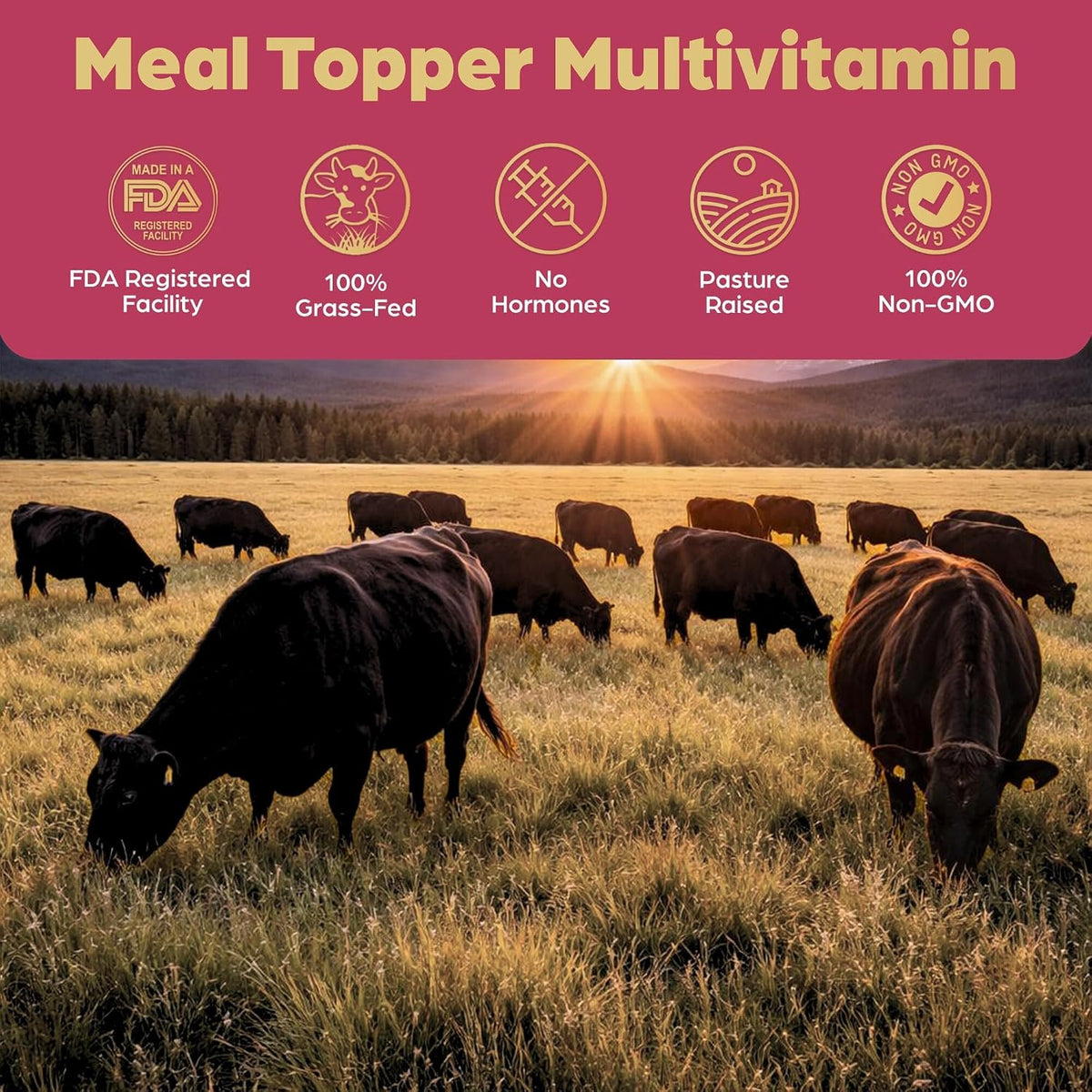 Authentic USA imported 90 scoops grass fed beef organ topper label details