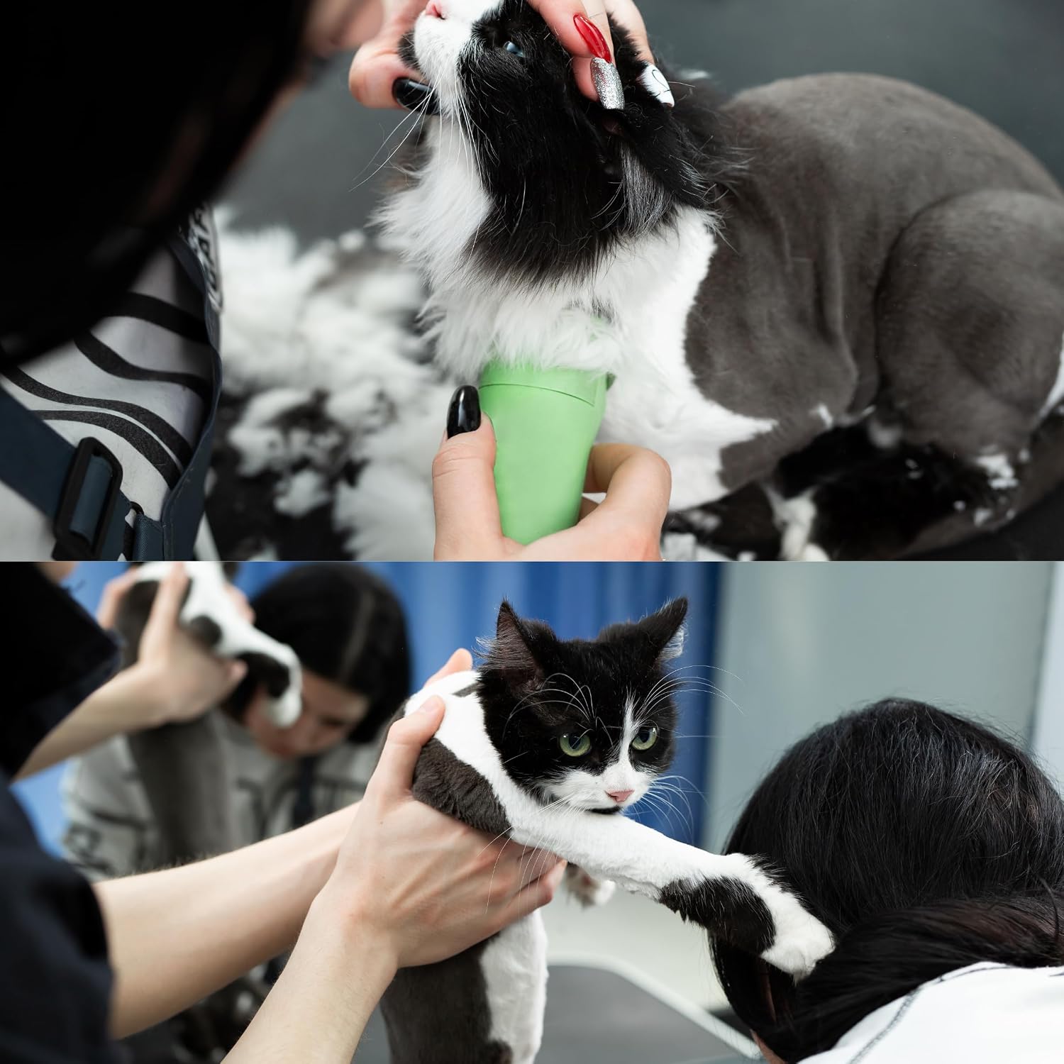 Bucchelli A5 style compatible cat grooming blade snap-on mechanism close up