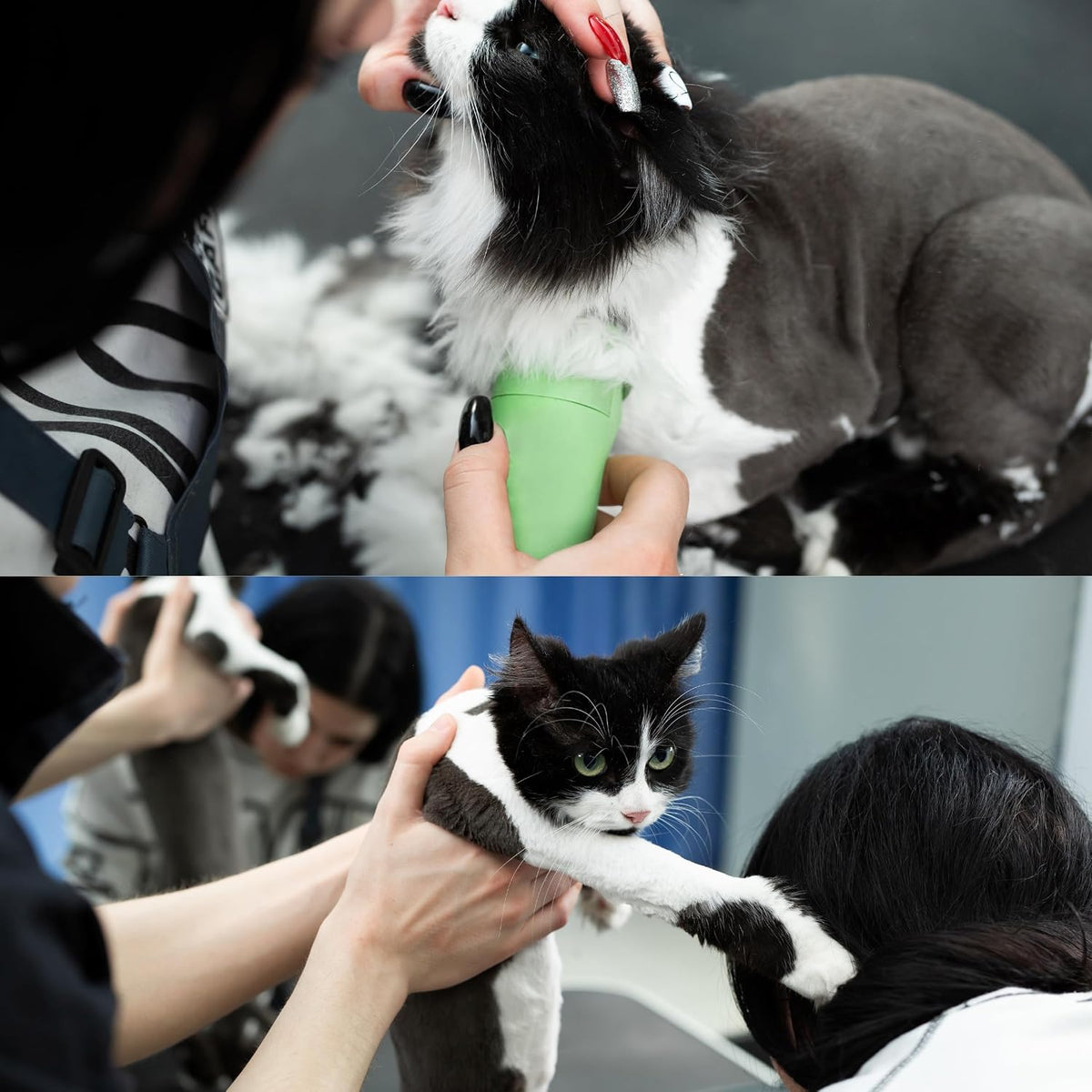 Bucchelli A5 style compatible cat grooming blade snap-on mechanism close up
