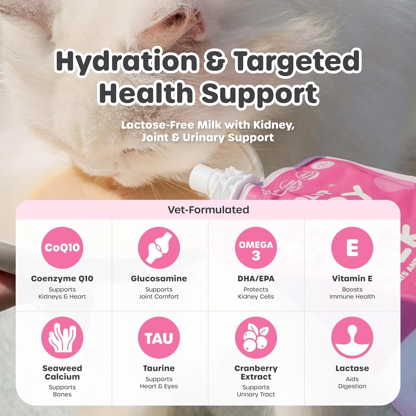 Choolip vitamin pet milk pack of ten pouches showing dietary nutritional facts