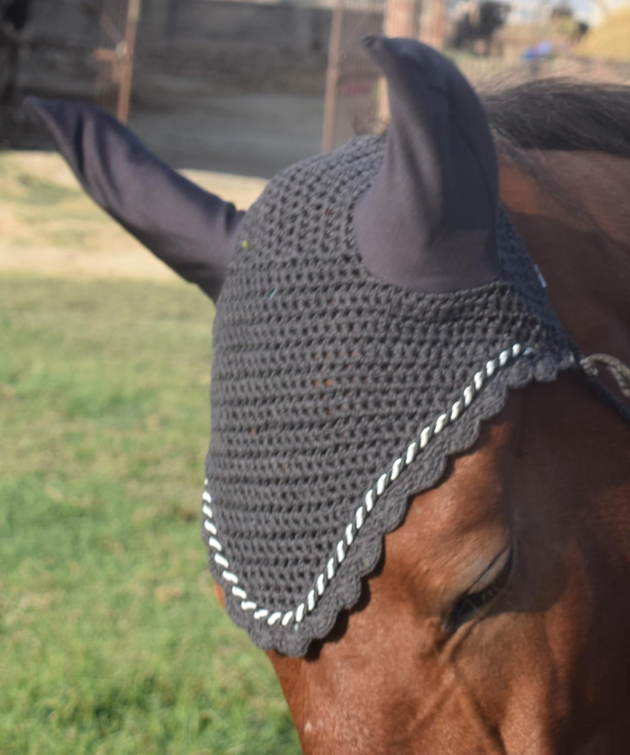 Rear view of horse ear net showing throatlatch tie string