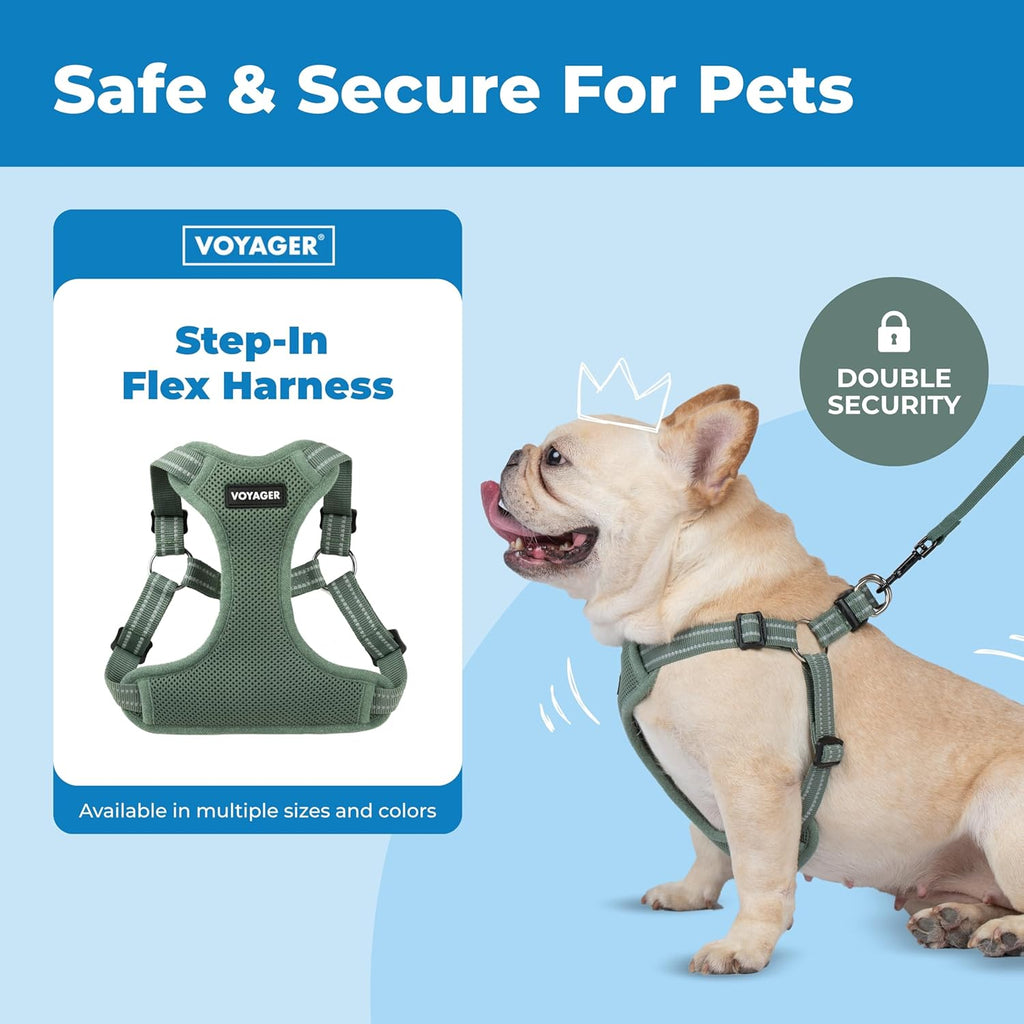 Best Pet Supplies Voyager Step-In Flex harness quick release buckle and double D ring