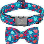 Lionheart Glory adjustable pet collar packaging and accessories