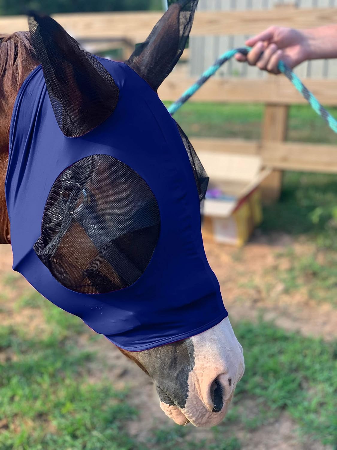 Stretchable UV-Blocking Equine Fly Mask with Moldable Ear Covers, Adjustable Comfort Mesh Straps, Leopard-Pattern Pasture & Trail Protection Perfectly Sized for Full Sized Horses - - Image 10