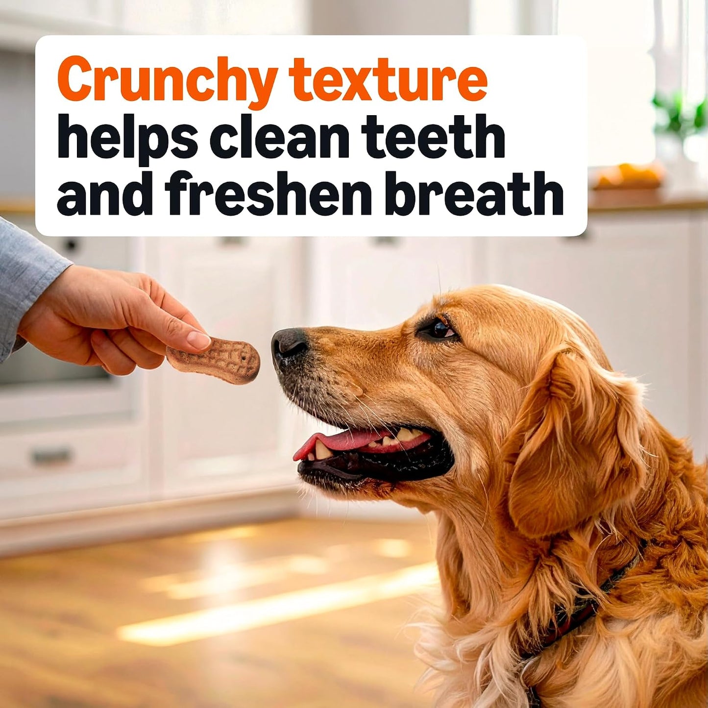 Amazon Basics pet snacks fortified with 12 vitamins and minerals