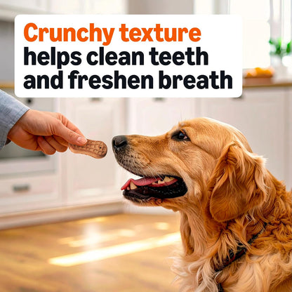 Amazon Basics pet snacks fortified with 12 vitamins and minerals