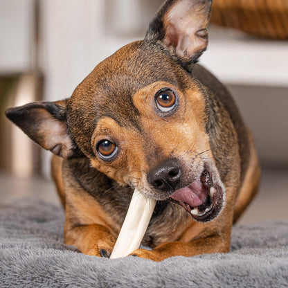 Natural flavor fourteen count rawhide rolls for small dogs.