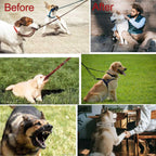Darkyazi medium large dog adjustable steel chain walk control