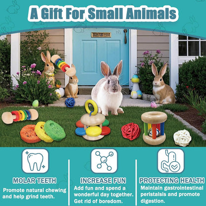 Safe eco-friendly chinchilla chewing toys displayed together in a collection